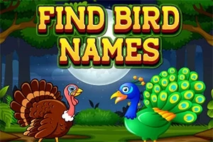 En tecknad kalkon och påfågel står inför en nattlig skogsscen med fullmåne och texten FIND BIRD NAMES ovanför