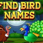 En tecknad kalkon och påfågel står inför en nattlig skogsscen med fullmåne och texten FIND BIRD NAMES ovanför