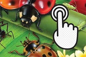Nyckelpigor och insekter på gröna blad med en grafisk hand som pekar