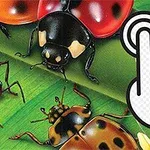 Nyckelpigor och insekter på gröna blad med en grafisk hand som pekar